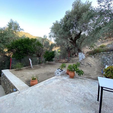 House With Beautiful Garden In Plomari公寓 外观 照片
