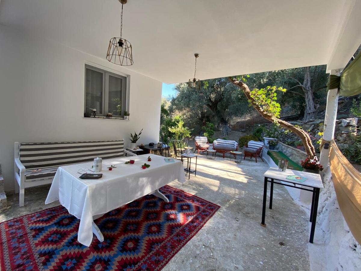 House With Beautiful Garden In Plomari公寓 外观 照片
