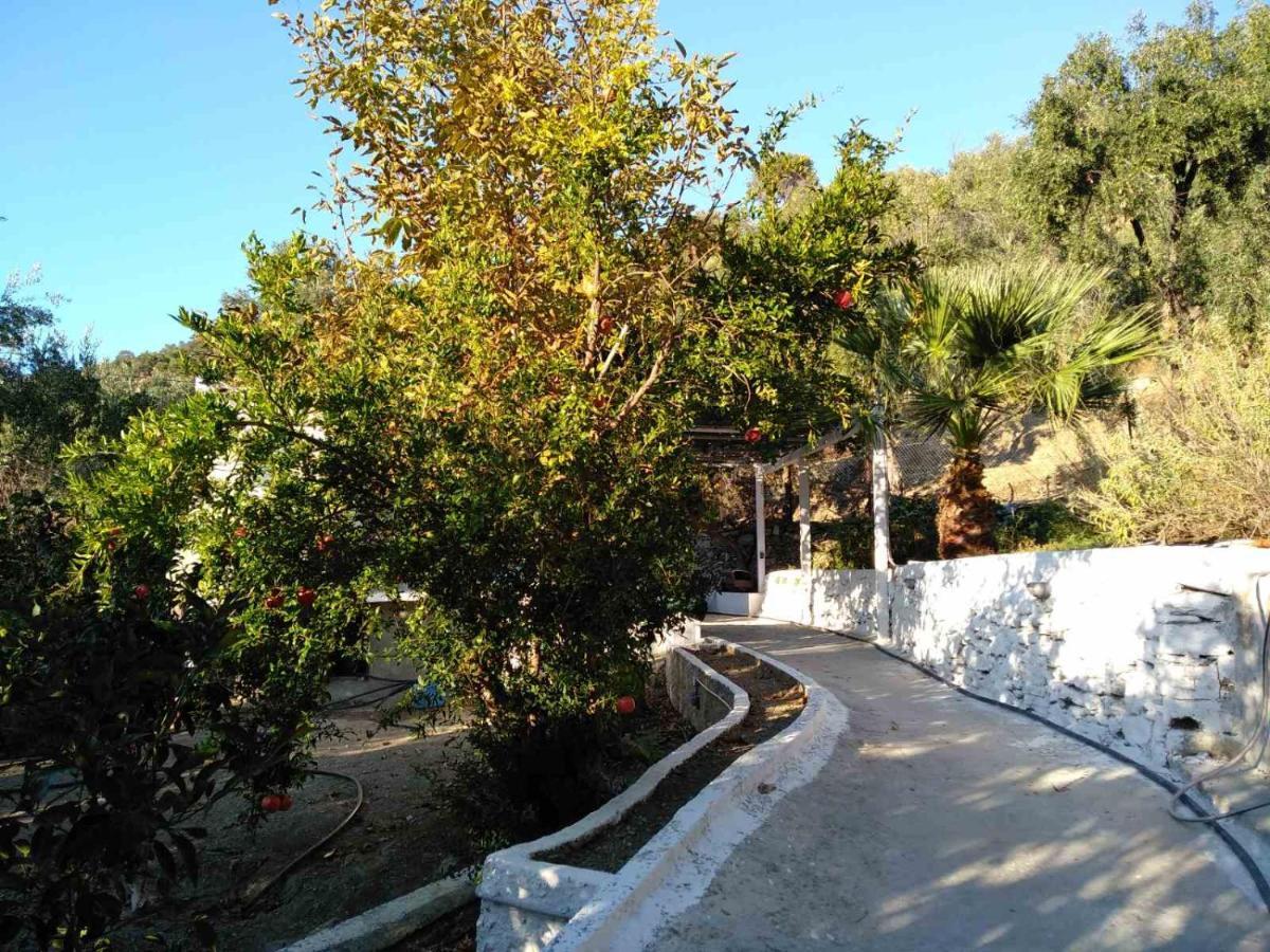 House With Beautiful Garden In Plomari公寓 外观 照片