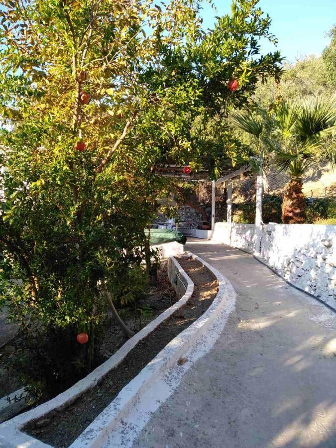 House With Beautiful Garden In Plomari公寓 外观 照片